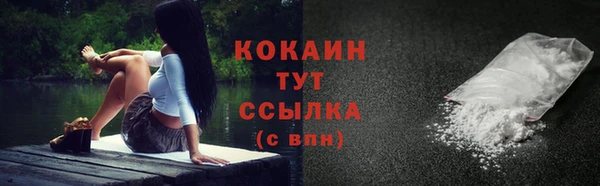 эйфоретик Баксан