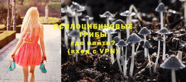 mdpv Балахна