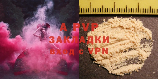 эйфоретик Баксан