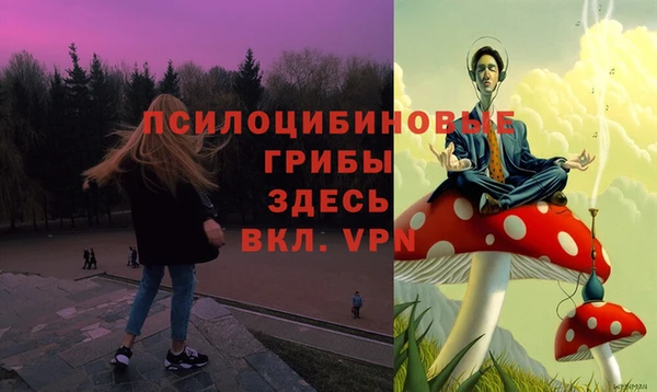 mdpv Балахна