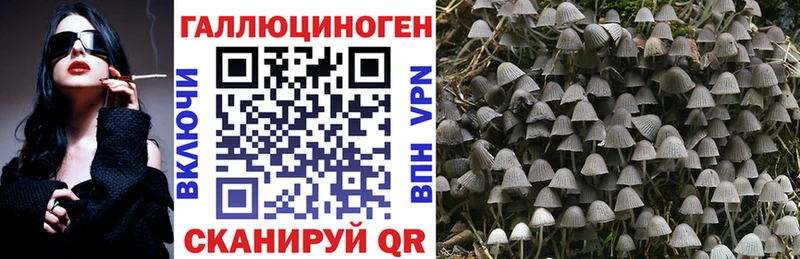 Псилоцибиновые грибы Psilocybine cubensis  blacksprut ТОР  Благодарный 